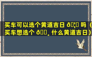 买车可以选个黄道吉日 🦉 吗（买车想选个 🌸 什么黄道吉日）